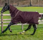 Amigo Hero Ripstop Plus Turnout Blanket (100g Medium-Lite, 0g Hood)