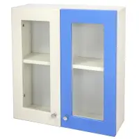 在飛比找momo購物網優惠-【Aaronation 愛倫國度】藍白雙色時尚塑鋼雙開浴櫃(