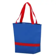 Lunch Box for Women/Men, Insulated Cooler Lunch Bag, 11x5.5x8.3 Inch Blue Red