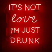 It's Not Love I'm Just Drunk Acrylic 24"x20" Neon Sign Light Lamp - With Dimmer