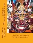 BEYOND IMMORTALITY NOW By Satya=shiva Chaitanya **BRAND NEW**
