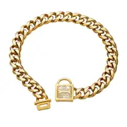 Stainless Steel Luxury Dog Chain