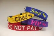 Embroidered Personalised dog collar Just Pawfect