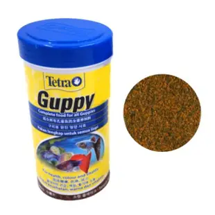 【TETRA 德彩】新孔雀魚薄片飼料250ml 小型魚燈科魚孔雀魚飼料Guppy(高鈣強化營養薄片T677)