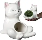 Planter Pot for Indoor - Cat Shape Ceramics Flower Pots for Table | Decorative Home Accessories Plant Planter for Balcony Desk Garden Windowsill