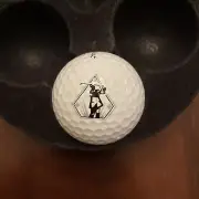 New Titleist ProV1 Logo Golf Ball - Flint Hills National GC -Andover, KS