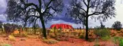 QPuzzles 525XL Piece Jigsaw Puzzle - Ken Duncan - Red Heart