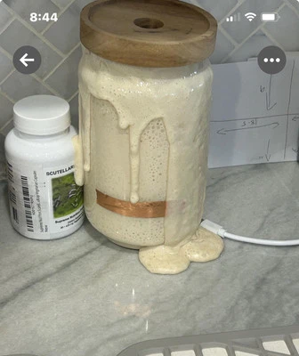 San Francisco Sourdough Starter Rated Top Seller! Verified Heritage