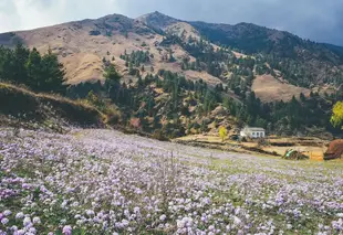 法普盧里穆旅館