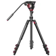 CAME TV TP-501C Carbon Fiber Video Tripod with Fluid Head