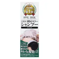 在飛比找蝦皮購物優惠-日本直送 Sastty 利尻昆布 洗髮水 天然植物成份 20