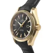 omega Seamaster Aqua Terra Co-Axial watch unisex TO02754
