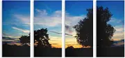 Modernist Nature 4-Piece Set Invisible Frame Canvas Wall Art - Contemporary Artwork for Modern Homes
