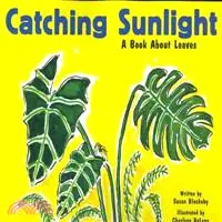 在飛比找三民網路書店優惠-Catching Sunlight ─ A Book Abo