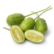 Cucumber - West Indian Gherkin seeds
