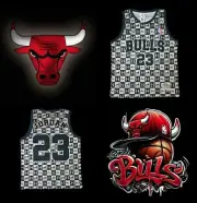CHICAGO BULLS BLACK AND WHITE MICHAEL JORDAN 23 JERSEY SIZE LARGE
