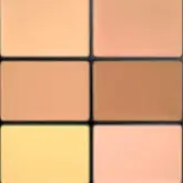 Mac cosmetics (Pro Conceal and Correct Palette) 6 g - Shade: Medium