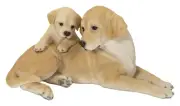 Clearance-Mom & Baby Labrador Garden Statue Lifelike Yard Flowerbed Decor