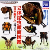 在飛比找蝦皮購物優惠-日本編EX立體昆蟲顏面圖鑑