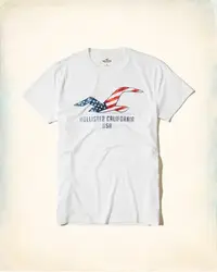 在飛比找Yahoo!奇摩拍賣優惠-Hollister Crew Graphic Tee Whi