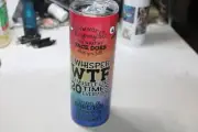 20oz Tumbler wtf Sassy Funny Stainless Steel Cup