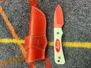 Lot Of 8 Small Knives D2 Steel Handmade Skiner Knife