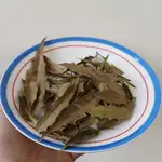 山蒔六 | 十大功勞(黃柏) 乾葉