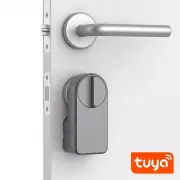 New Bluetooth Smart Door Locks Tuya APP Remote Control Keyless Unlock Smart Life