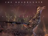 在飛比找博客來優惠-The Roadrunner