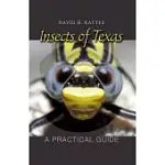 INSECTS OF TEXAS: A PRACTICAL GUIDE