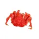 【年菜系列】帝王蟹約2.5kg以上/隻