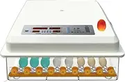 64 Egg Incubator Digital LED Brooder Fully Automatic Turning Backyard Farm Chicken Temperature Controller for Duck Poultry Goose Bird Quail Hatch Eggs Built-in Fan