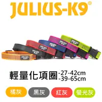 在飛比找蝦皮商城優惠-【JULIUS-K9】JK9-輕量化項圈IDC®Color&