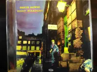 在飛比找Yahoo!奇摩拍賣優惠-David Bowie ~ Ziggy Stardust，保