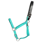 HORSE SIZE- READY MADE - Teal TURNOUT HALTER and LEAD Made from BETA BIOTHANE