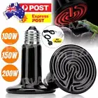 Infrared Ceramic Heat Lamp Bulb With Holder For Reptile Pet Chicken Brooder