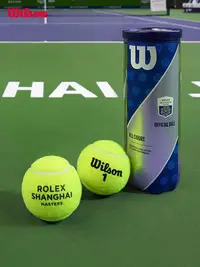 在飛比找Yahoo!奇摩拍賣優惠-Wilson威爾勝官方上海大師賽法網專用比賽級多場地網球配件