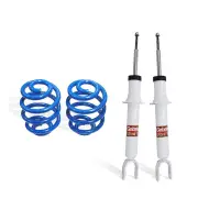 Rear Sport Low Ultra Spring Seat Shocks + Coils for Holden Commodore VE Wagon