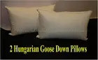 2 x KING SIZE PILLOWS 95% HUNGARIAN GOOSE DOWN 100% COTTON CASING