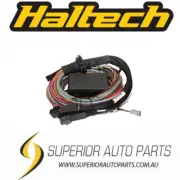 Haltech Elite 2500 & 2500 T Premium Universal Wire-in Harness Length: 3m (9.8')