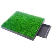 Grass House Dog Potty Trainer