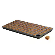 Eazy Plug Coco Peat Based Propagation Medium with Tray - [Size: 77 Cubes]