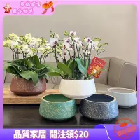 在飛比找蝦皮購物優惠-💎台灣💎蝴蝶蘭花盆 高檔陶瓷花盆 輕奢 北歐風 蘭花花盆 組