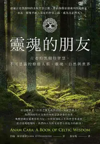 在飛比找露天拍賣優惠-《度度鳥》靈魂的朋友:古老的凱爾特智慧,不可思議的療癒人類、