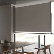 Patio Retractable Side Awning 160 x 300 cm Grey