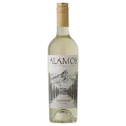 2024 Alamos Torrontés - Buy Online | The Wine Collective Marketplace
