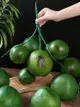 仿真椰子模型椰青椰果塑料假水果拍攝道具下水管熱帶風情美化裝飾