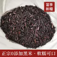 在飛比找蝦皮購物優惠-【穀粒穀力】黑米 五谷雜糧煮粥健身黑米飯粥 臺灣黑米 1斤裝