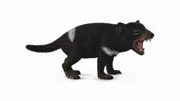 Collecta Tasmanian Devil