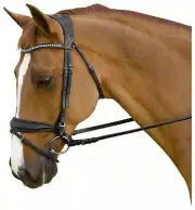 Marcel Toulouse Rhythmical Dressage Bridle